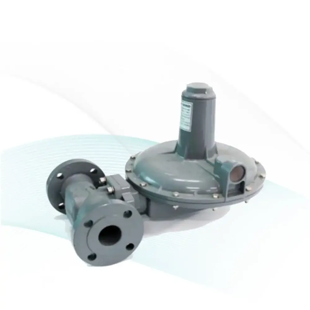 Regulador de Gas Natural HYR2-815