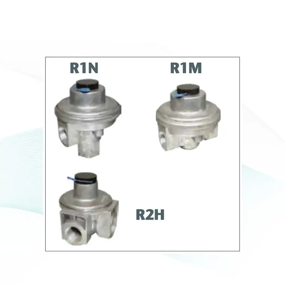 Regulador de Gas Natural R1N, R1M